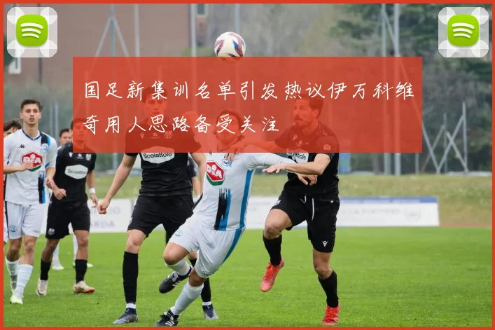 国足新集训名单引发热议伊万科维奇用人思路备受关注